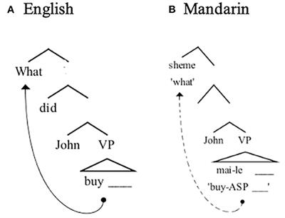EEG Correlates of Long-Distance Dependency Formation in Mandarin Wh-Questions